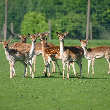 فندق Landgasthof Hofmeier Hetzenhausen