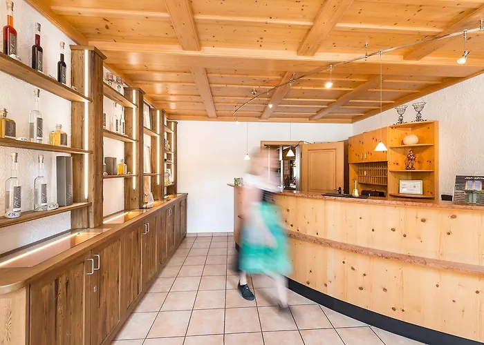 酒店 兰德加斯特赫夫霍夫米尔酒店 3*